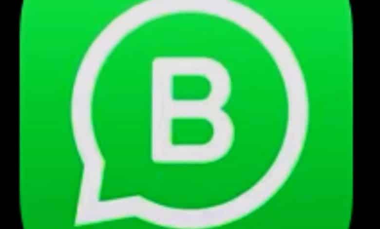 Whatsapp Business - DSGVO konform